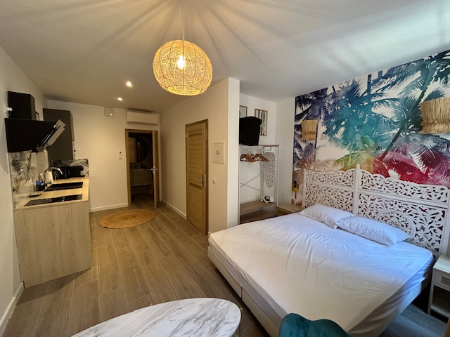 Rénovation appartements à Cannes - Photo 5